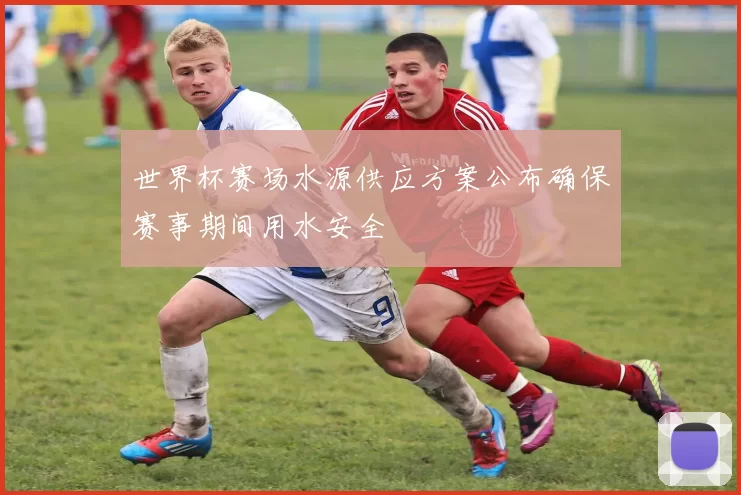 世界杯赛场水源供应方案公布确保赛事期间用水安全