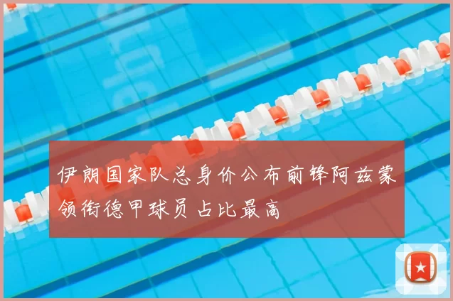 伊朗国家队总身价公布前锋阿兹蒙领衔德甲球员占比最高