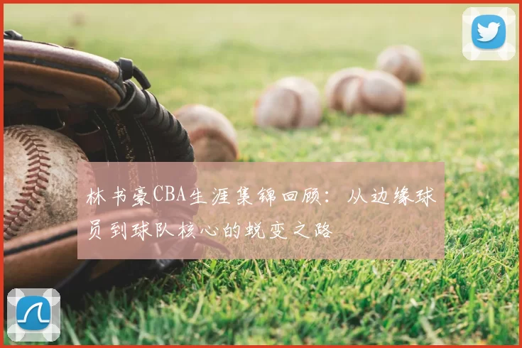 林书豪CBA生涯集锦回顾:从边缘球员到球队核心的蜕变之路