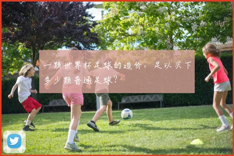 一颗世界杯足球的造价,足以买下多少颗普通足球?