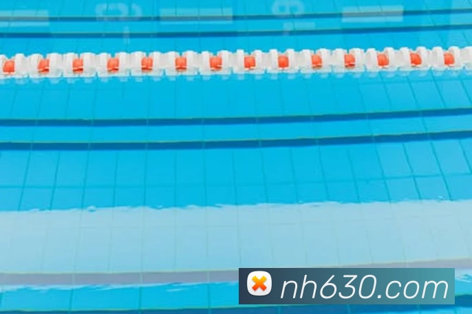 星空体育综合平台入口平台生态图